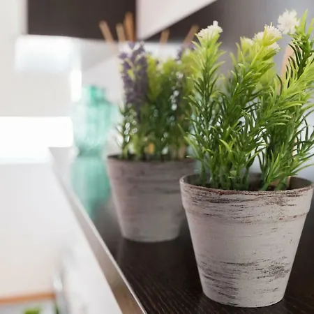 Апартаменты El Solarium De Torre *